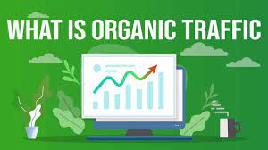 What Is Organic Traffic And Why It's Important For Your Website?