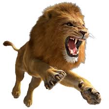 lion png image for free