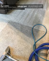 hippo carpet cleaning of queens