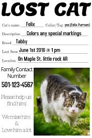 Missing Cat Lost Dog Template Postermywall
