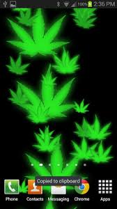 49 free live weed wallpaper