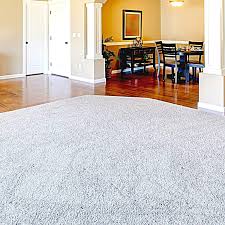 zep premium carpet shoo 128 fl oz