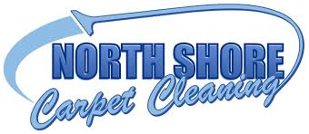 carpet cleaning north s