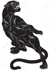 People opt for traditional panther tattoo instead of realistic panther tattoo because traditional panther tattoos have a deep meaning. Angry Black Panther Attacking Pose Tattoo Vector Illustration Royalty Free Cliparts Vectors And Stock Illustration Image 94300786
