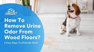 Remove Urine Odor From Wood Floors