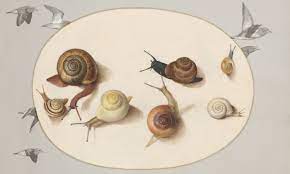 deep time movements of snails