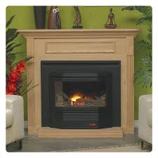 Mantis High Efficient Fireplace System