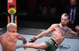 Sean o'malley knew from day one that he was going to become a star, and it's all going to plan. Ufc Star Sean O Malley Hits Back At Chito Vera And Rages I Ll Be World Champ He Ll Be A Journeyman As Feud Continues