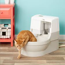 Want an automatic litter box that doesn't keep you awake at night with the sounds of raking litter? Best Automatic Litter Boxes For 2019 Based On Customer Reviews