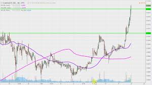 Cannasys Inc Mjtk Stock Chart Technical Analysis For 02 21 17