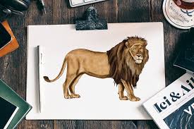A Fun And Ferocious Lion Drawing Tutorial