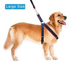 Lifepul Tm Dog Leash Harness Collar Set Adjustable