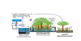 Typical Wastewater Garden System