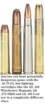 45 70 458 Winchester Magnum 375 H H 458 Lott Hunting