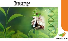 Among these were the spu. Botany Quiz Online Test Gk Questions And Answers Freshersnow Com