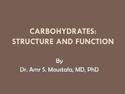 ppt carbohydrates structure and