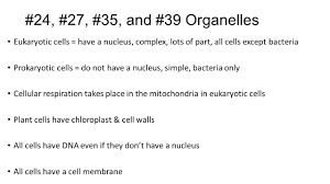 cell processes test corrections essay notes life 35 and 39 organelles eukaryotic cells have a nucleus complex lots of part all cells except bacteria prokaryotic cells do not have a nucleus