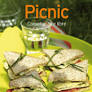 mejores comidas para picnics de es.everand.com