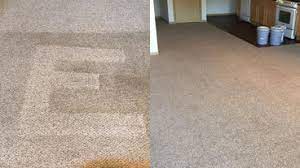 carpet cleaners in wauwatosa wi