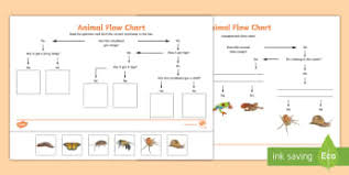 Classification Of Animals Other Living Things Ks2 Science