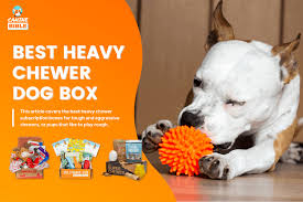 6 best dog toy subscription box for