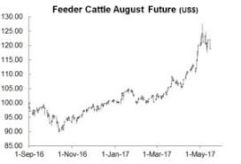 Will The China Factor Keep Cattle Prices Rising Hi Pro Feeds
