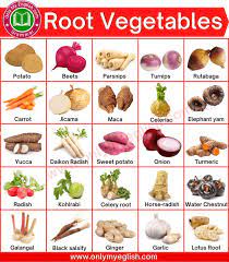 Root Vegetables List With Pictures And Names gambar png