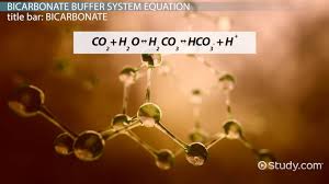 Bicarbonate Buffer System Overview
