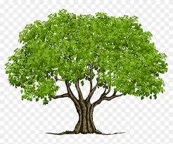 summer green tree vector png similar png