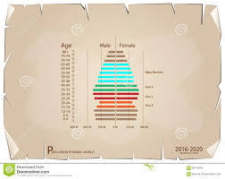 2016 2020 Population Pyramids Graphs With 4 Generation Stock