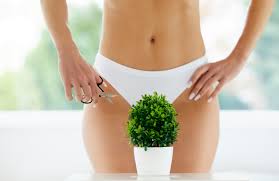 See more ideas about skin treatments, pubic hair, beauty care. The Pubic Hairstyles Men Love On Their Girlfriend Revealed And It S Bad News For Those Who Rock A Full Bush