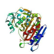 Rcsb Pdb 6fm6 Crystal Structure Of The Class C Beta