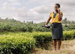 THE DIGITALISATION OF AFRICAN AGRICULTURE REPORT