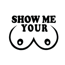 6 SHOW ME YOUR BOOBS Vinyl Decal Sticker Car Window Laptop Funny Rude  Breasts | eBay