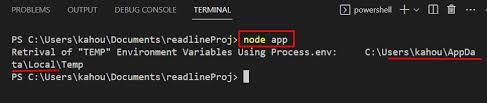 how to use process env in node js