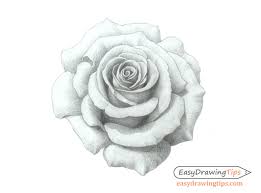 This is my first step by step colored pencil tutorial. How To Draw A Rose Step By Step Tutorial Easydrawingtips