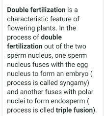 what is triple fusion and double fertilization????pls fast​ - Brainly.in