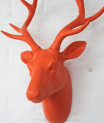 Orange Stag Head Deer Heads Wall