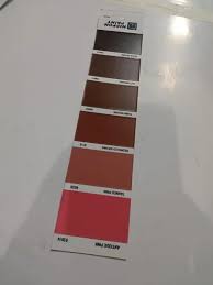 Multicolor Nippon Paint Pg75 Shade Card