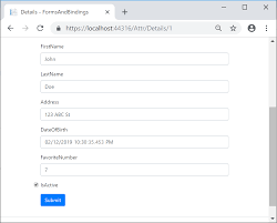 forms and fields in asp net core