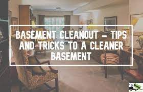 Basement Cleanout Tips And Tricks To