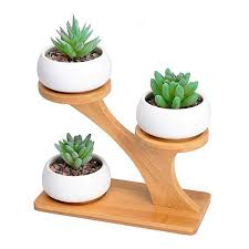 Ceramic animal shape planter flower plant vase succulent pot planter desk decor. 3pcs White Ceramic Succulent Pots With 3 Tier Bamboo Saucers Stand Holder Modern Decorative Flo Ceramic Succulent Pots Small Potted Plants House Plants Decor