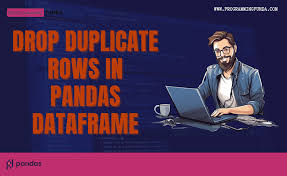 drop duplicate rows in pandas dataframe