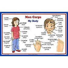 French Language School Poster French Words About Parts Of The Body With English Translation Classroom Chart