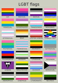 It completely astounded me that people just got it, in an instant like a bolt of lightning — that this was their flag. Oogachaga Do You Know All Your Lgbt Flags Check This Facebook