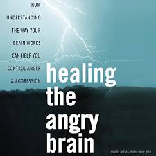 Has been added to your cart. Amazon Com Rage A Step By Step Guide To Overcoming Explosive Anger Audible Audio Edition Ronald Potter Efron Msw Phd Stephen Paul Aulridge Jr Wetware Media Audible Audiobooks
