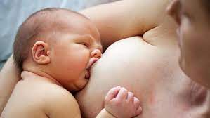 La lactancia materna proporciona una protección notablemente superior a la artificial frente a las 1.3.2. Lactancia Materna Exclusiva Si O No