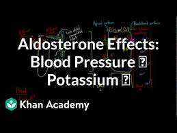 aldosterone raises blood pressure and