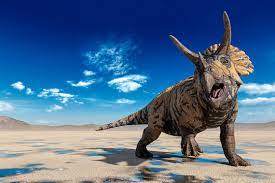 triceratops images browse 35 132