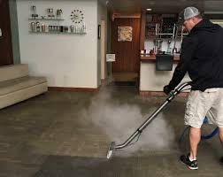 steam cleaning master clean carpet